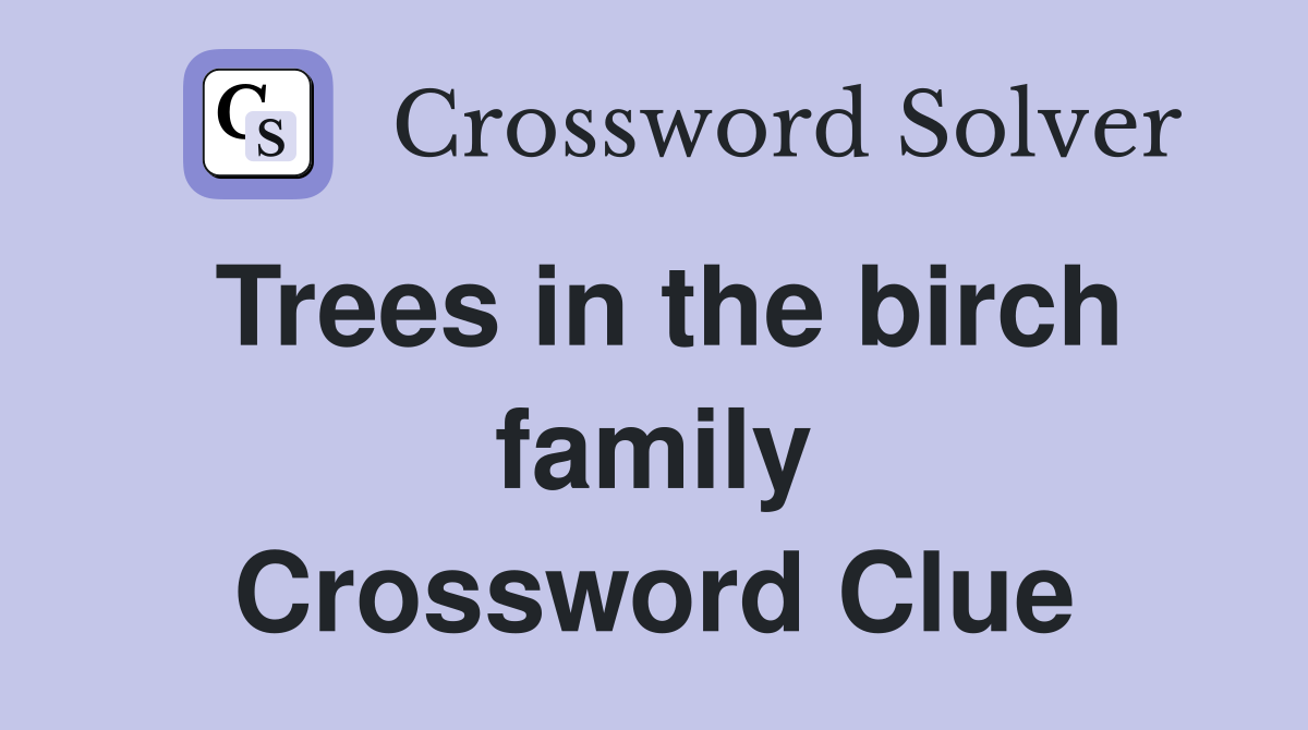 Trees in the birch family Crossword Clue