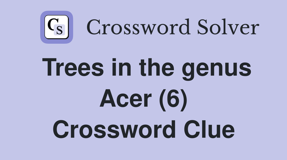 Trees in the genus Acer (6) Crossword Clue