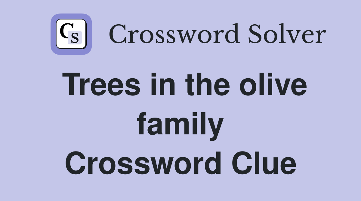 Trees in the olive family Crossword Clue