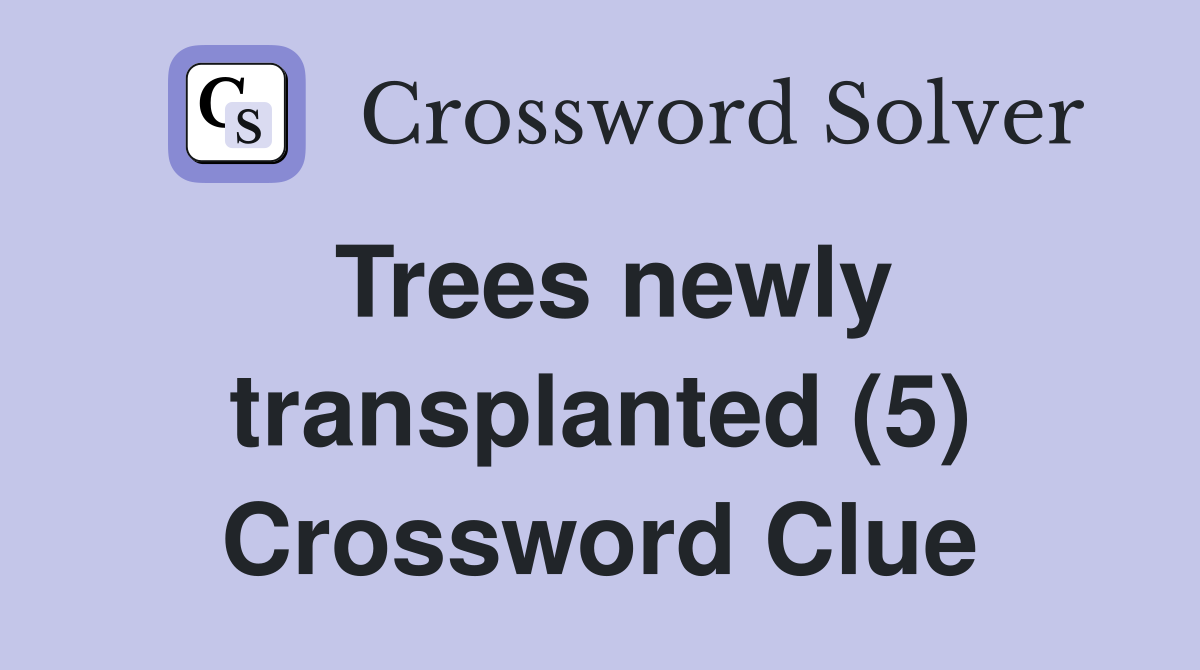 Trees newly transplanted (5) Crossword Clue