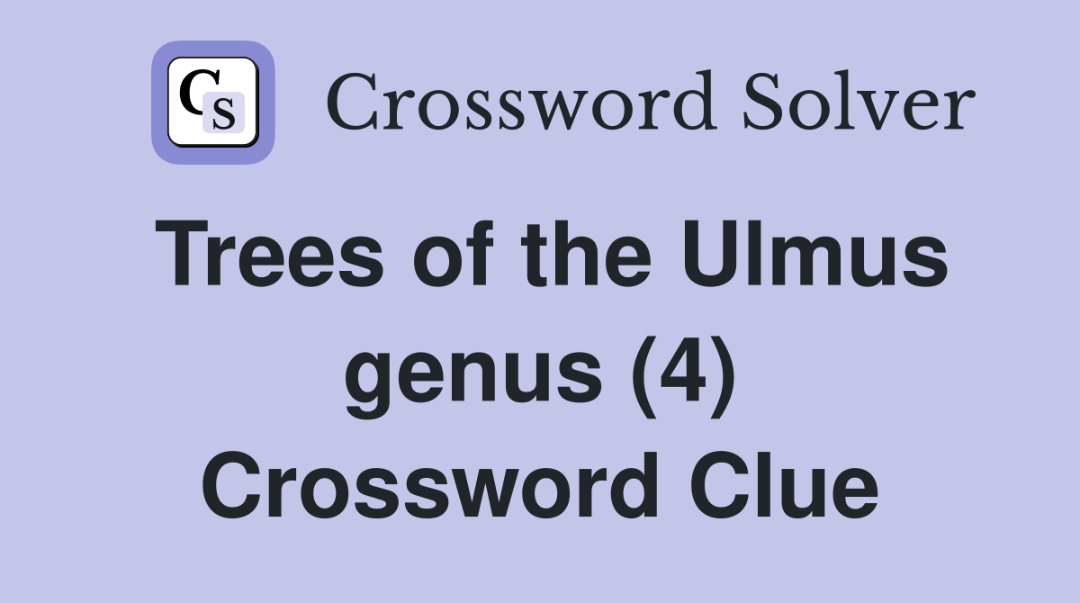 Trees of the Ulmus genus (4) Crossword Clue