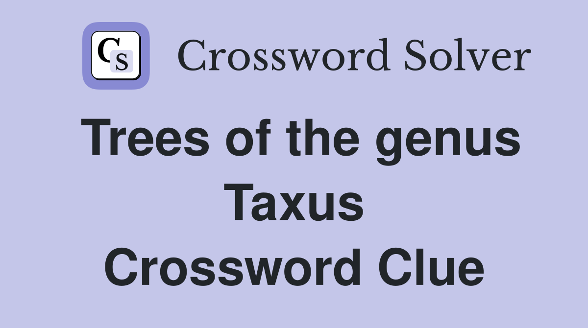 Trees of the genus Taxus Crossword Clue