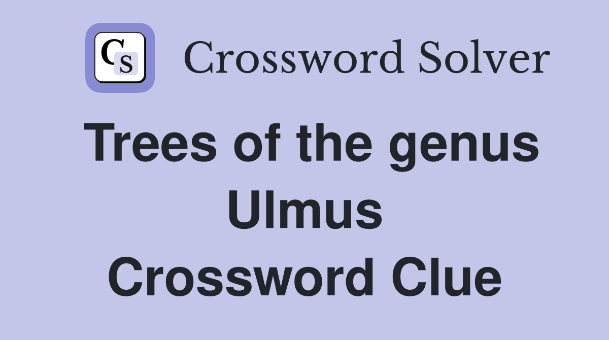 Trees of the genus Ulmus Crossword Clue