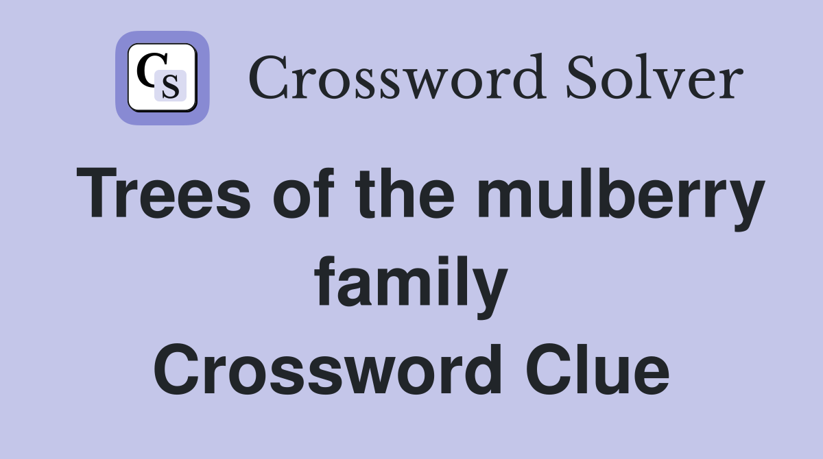 Trees of the mulberry family Crossword Clue