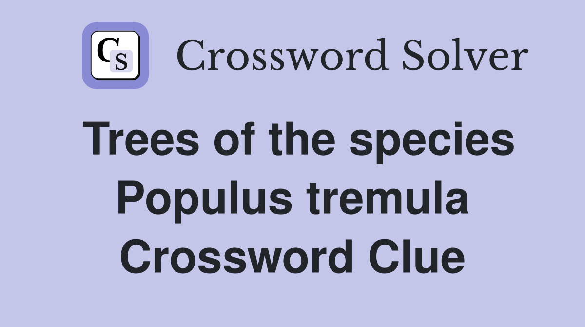 Trees of the species Populus tremula Crossword Clue