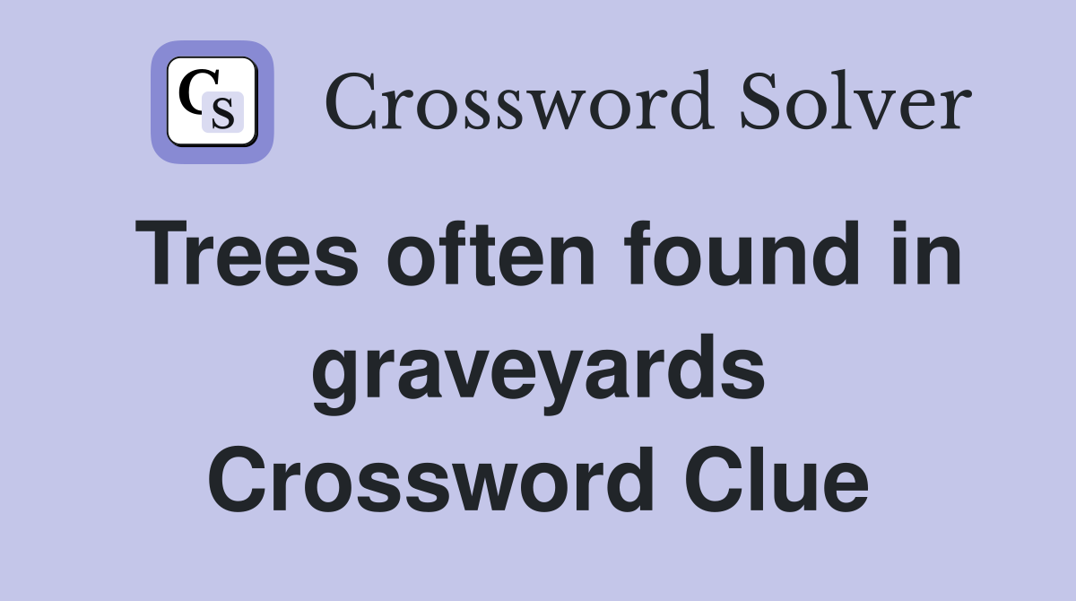 Trees often found in graveyards Crossword Clue