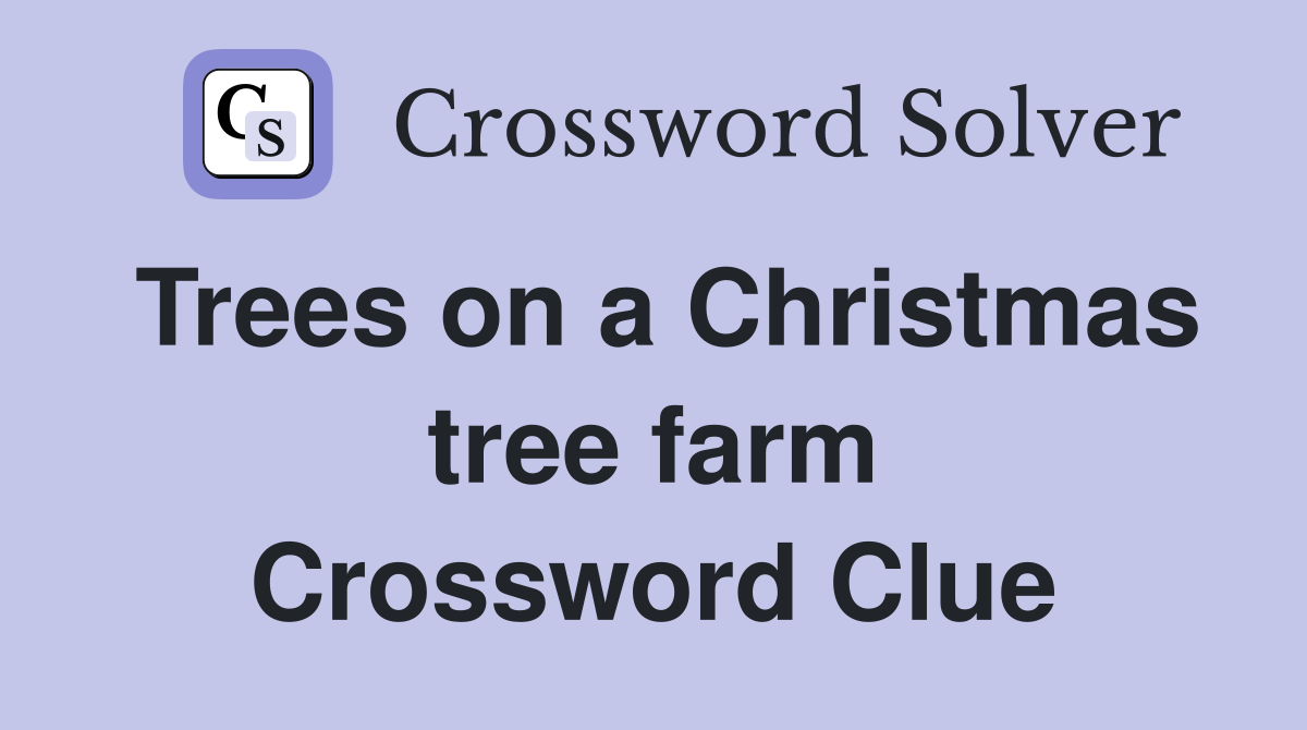 Trees on a Christmas tree farm Crossword Clue
