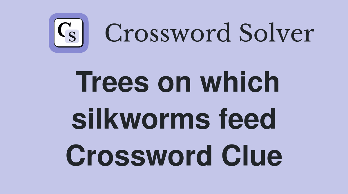 Trees on which silkworms feed Crossword Clue