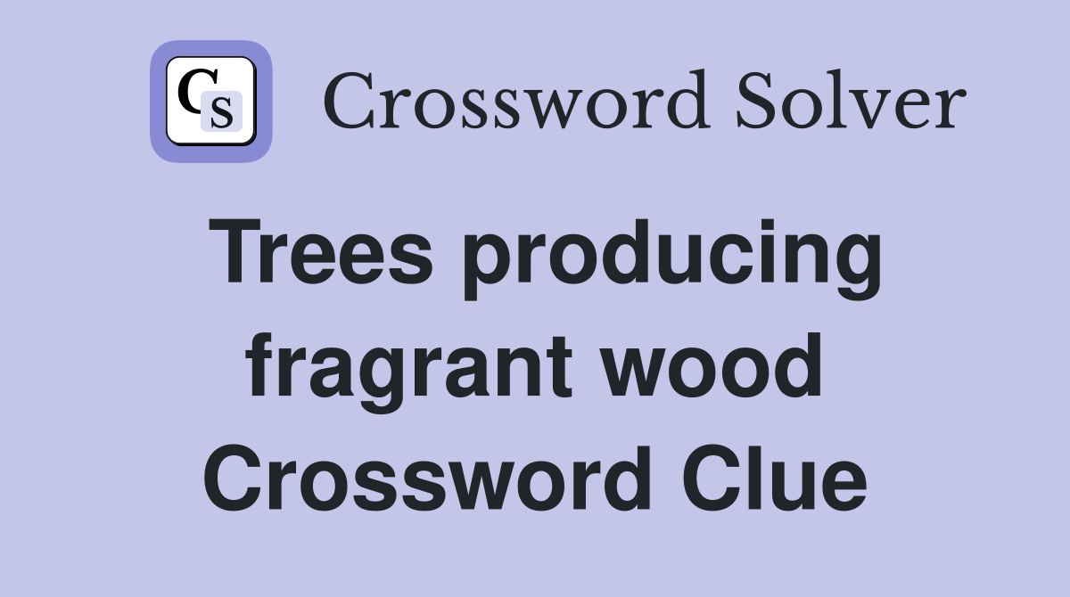 Trees producing fragrant wood Crossword Clue