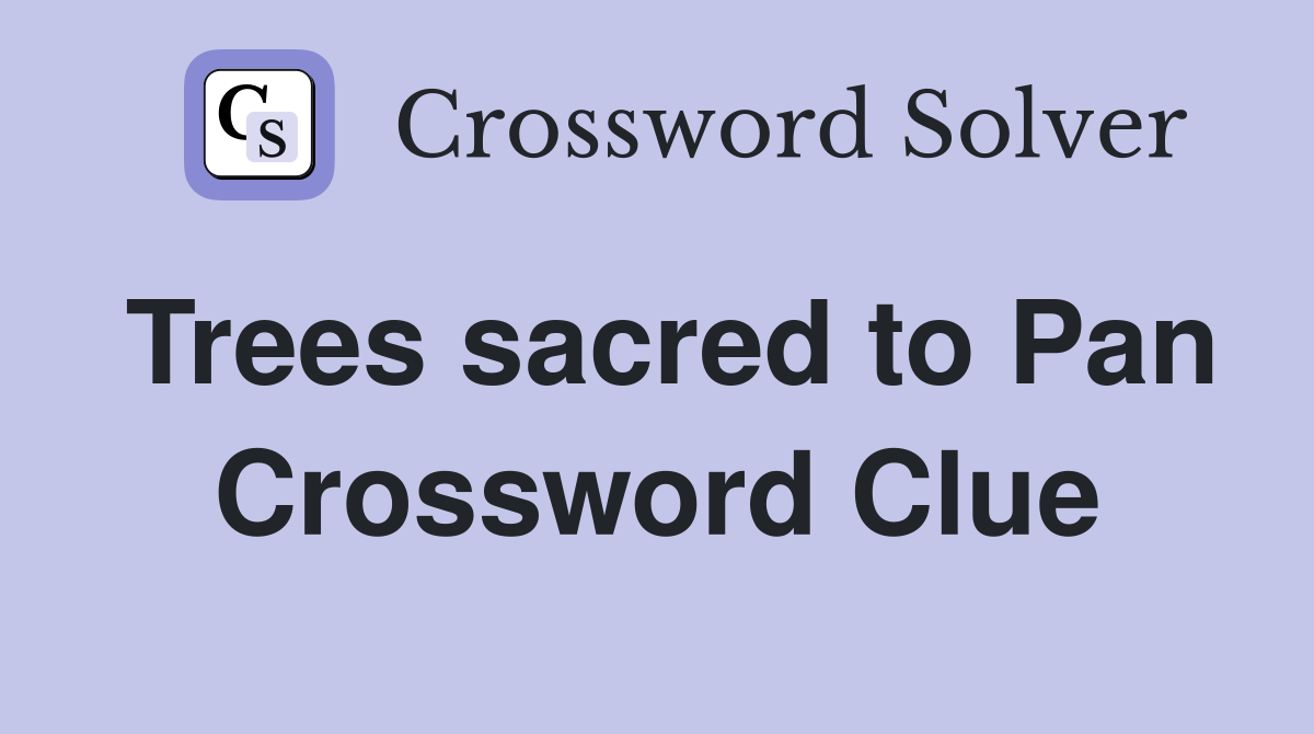 Trees sacred to Pan Crossword Clue