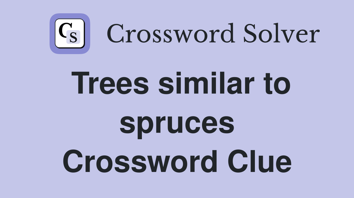 Trees similar to spruces Crossword Clue