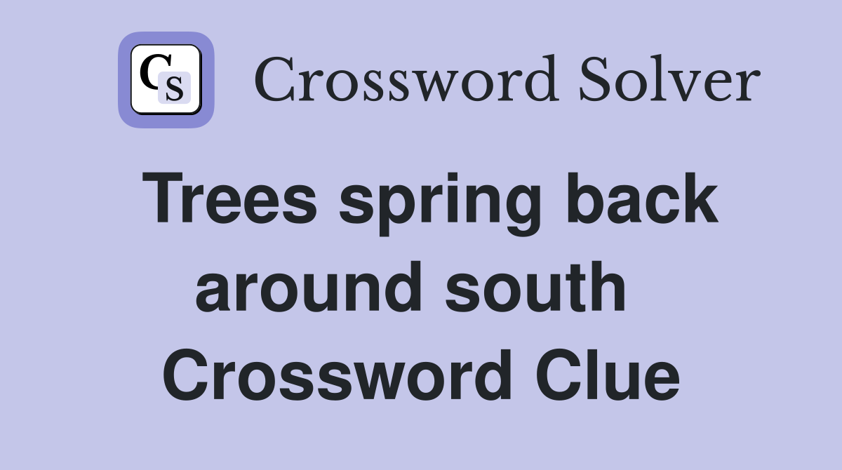 Trees spring back around south  Crossword Clue