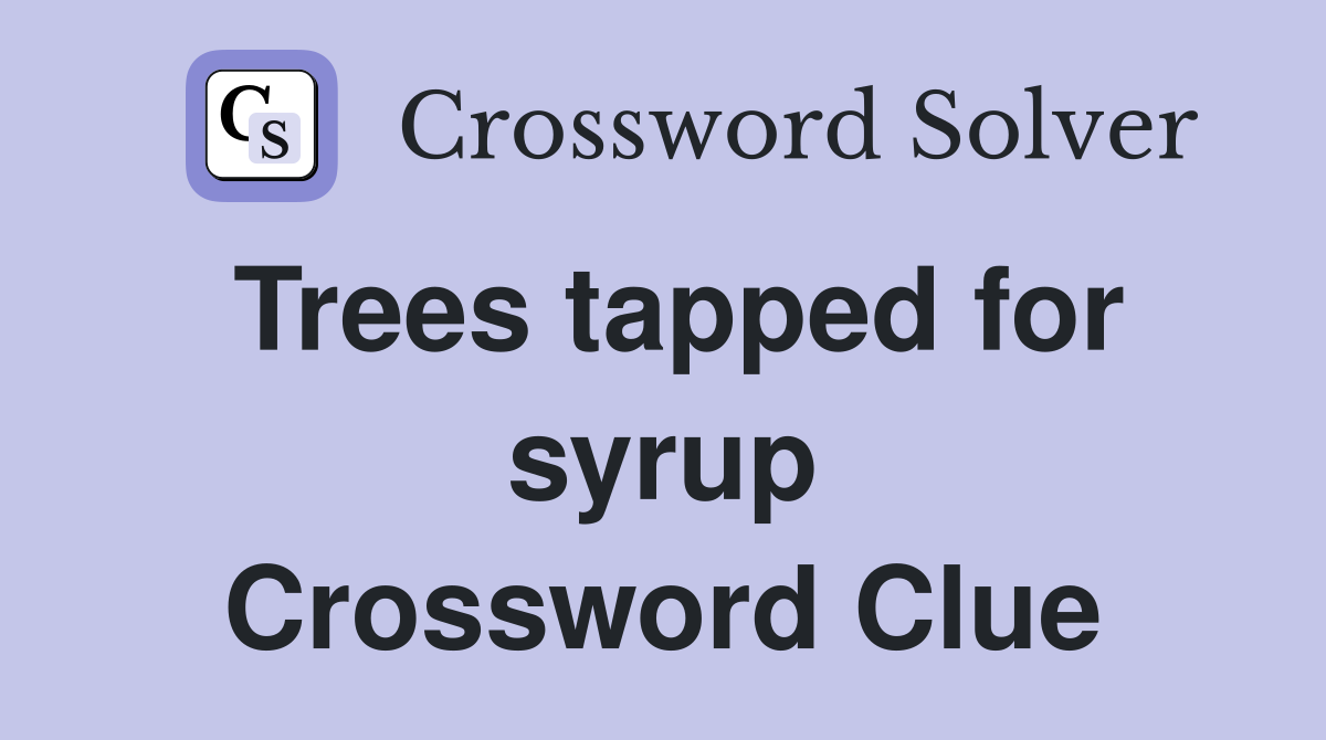 Trees tapped for syrup Crossword Clue