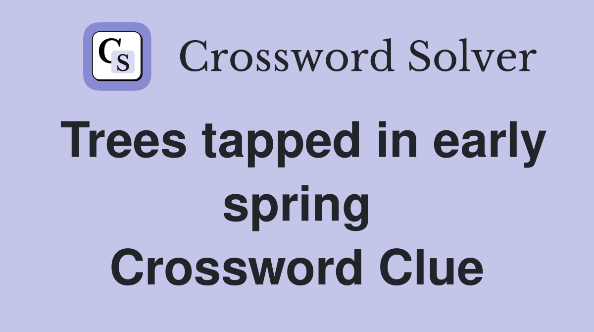 Trees tapped in early spring Crossword Clue