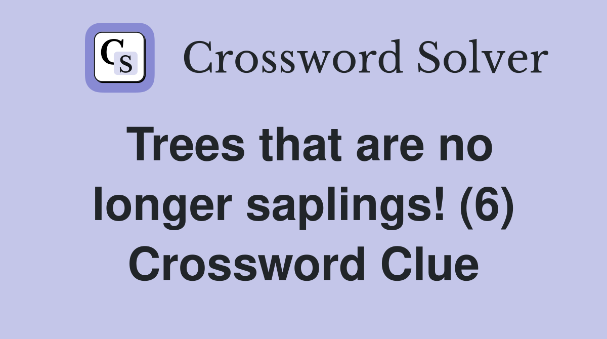 Trees that are no longer saplings! (6) Crossword Clue