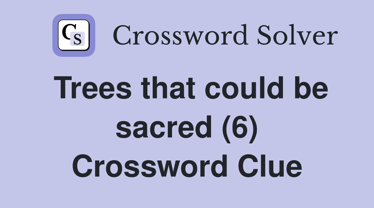 Trees that could be sacred (6) Crossword Clue