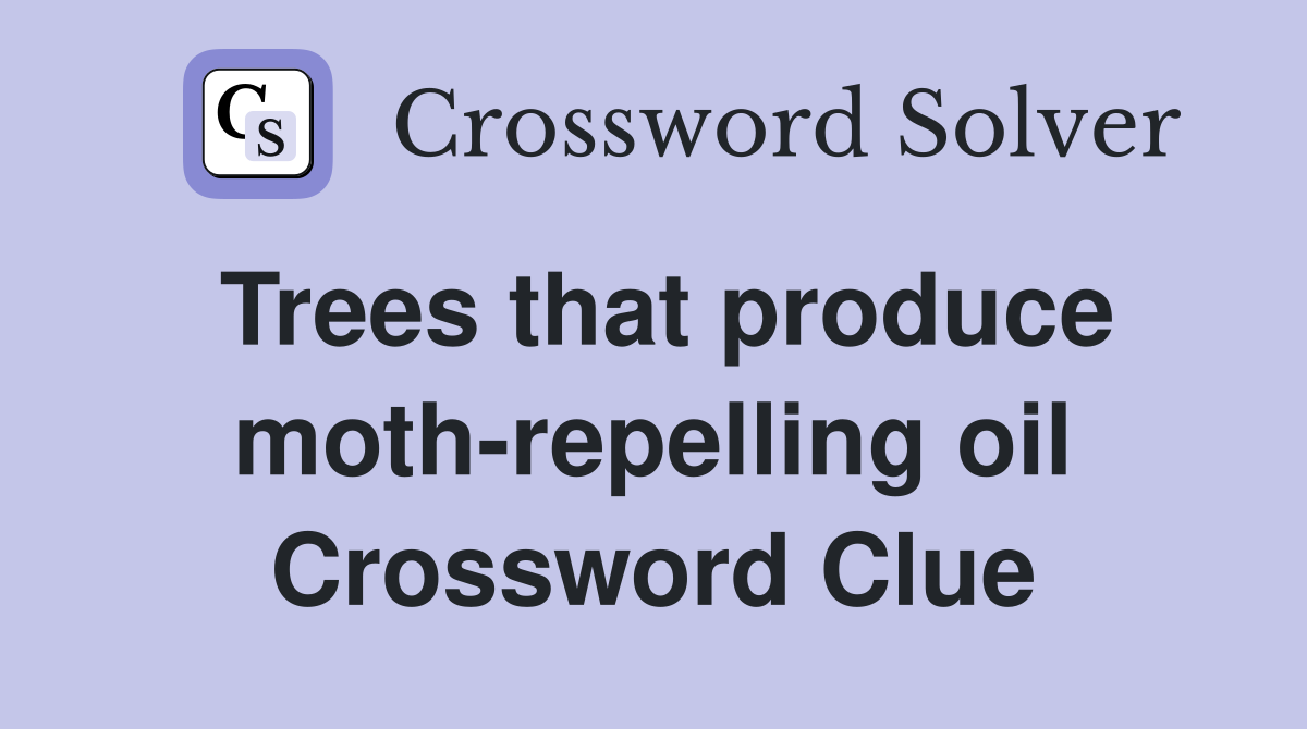 Trees that produce moth-repelling oil Crossword Clue