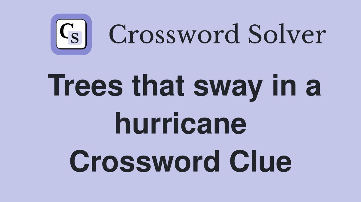Trees that sway in a hurricane Crossword Clue