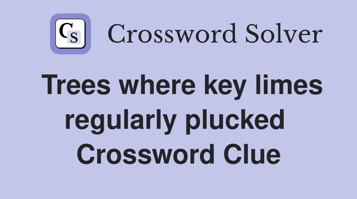 Trees where key limes regularly plucked  Crossword Clue