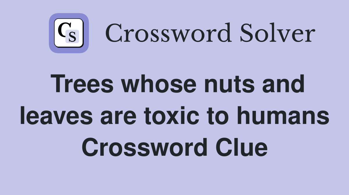 Trees whose nuts and leaves are toxic to humans Crossword Clue