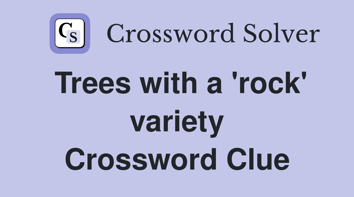 Trees with a 'rock' variety Crossword Clue