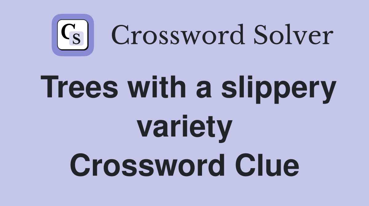 Trees with a slippery variety Crossword Clue