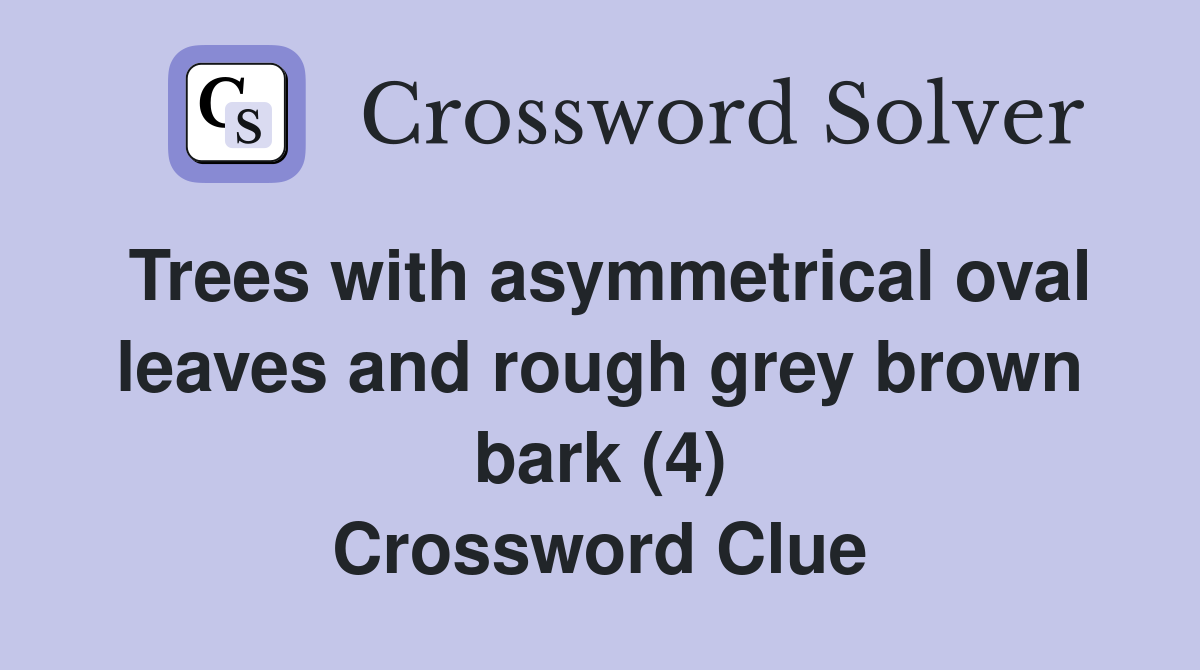 Trees with asymmetrical oval leaves and rough grey brown bark (4) Crossword Clue