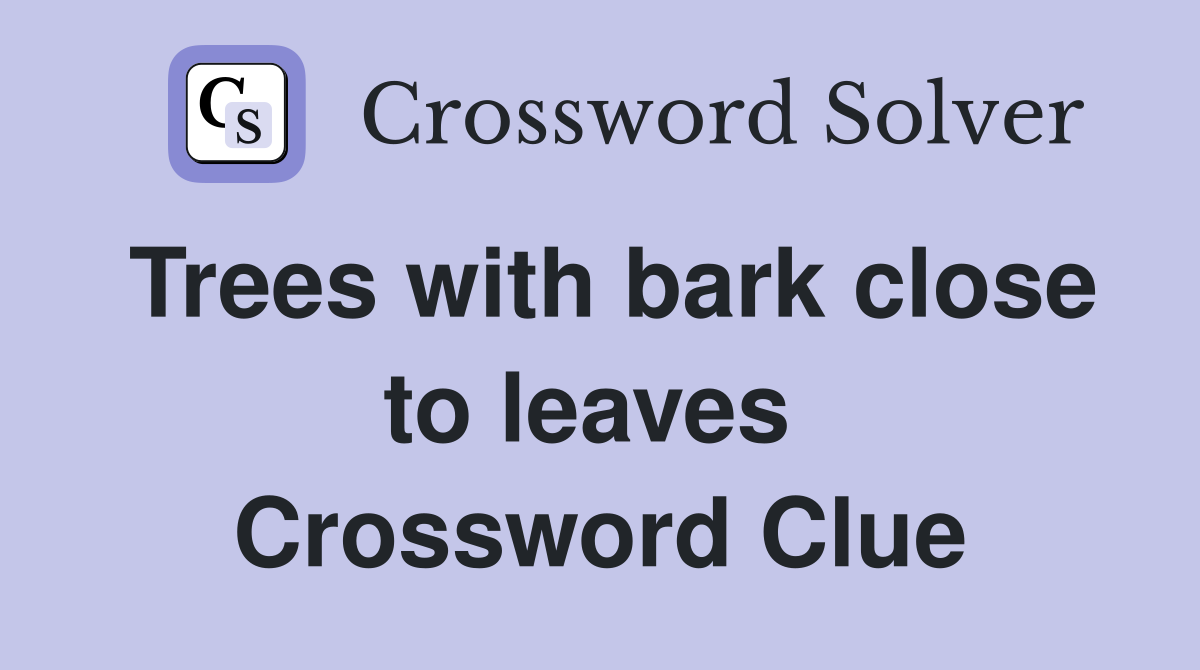 Trees with bark close to leaves  Crossword Clue
