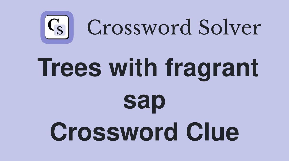 Trees with fragrant sap Crossword Clue