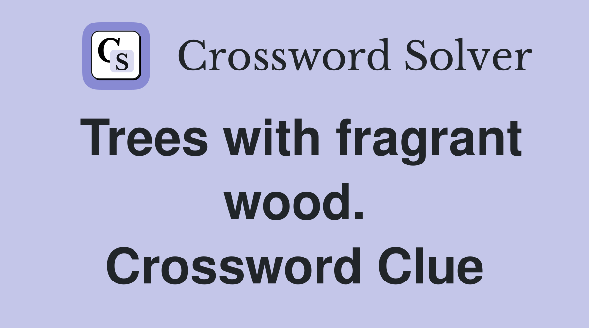 Trees with fragrant wood. Crossword Clue