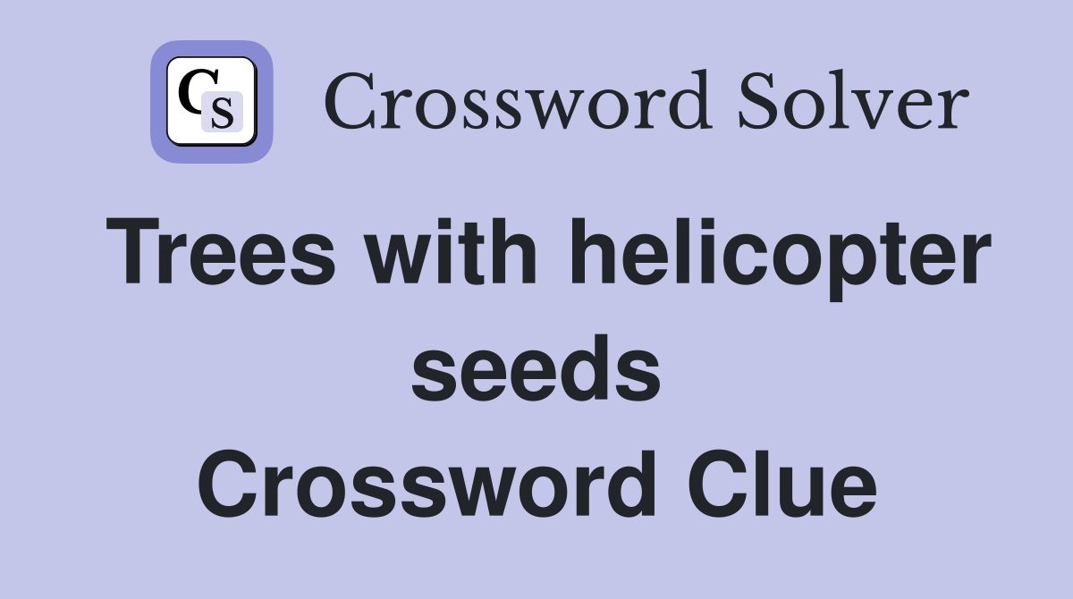Trees with helicopter seeds Crossword Clue