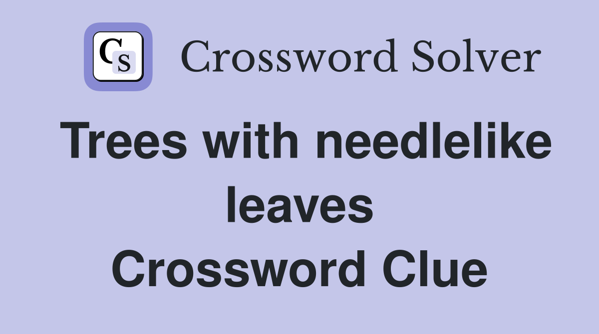 Trees with needlelike leaves Crossword Clue
