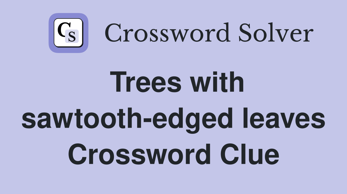 Trees with sawtooth-edged leaves Crossword Clue