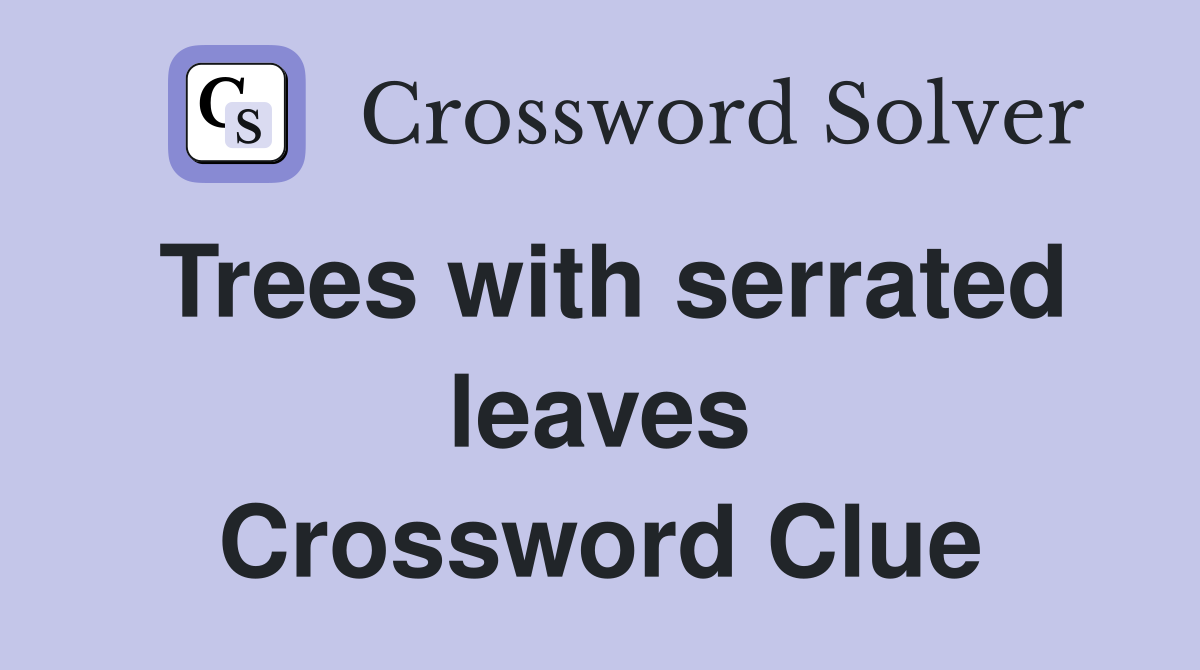 Trees with serrated leaves Crossword Clue