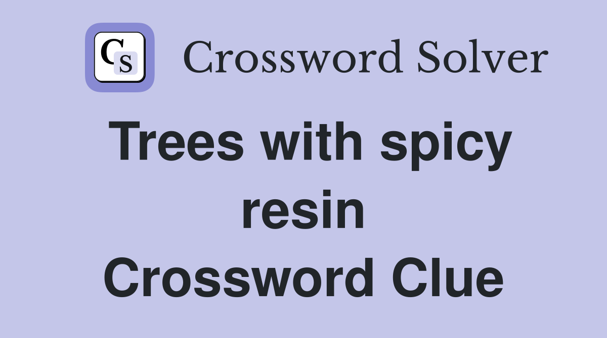 Trees with spicy resin Crossword Clue