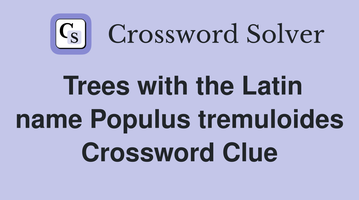 Trees with the Latin name Populus tremuloides Crossword Clue