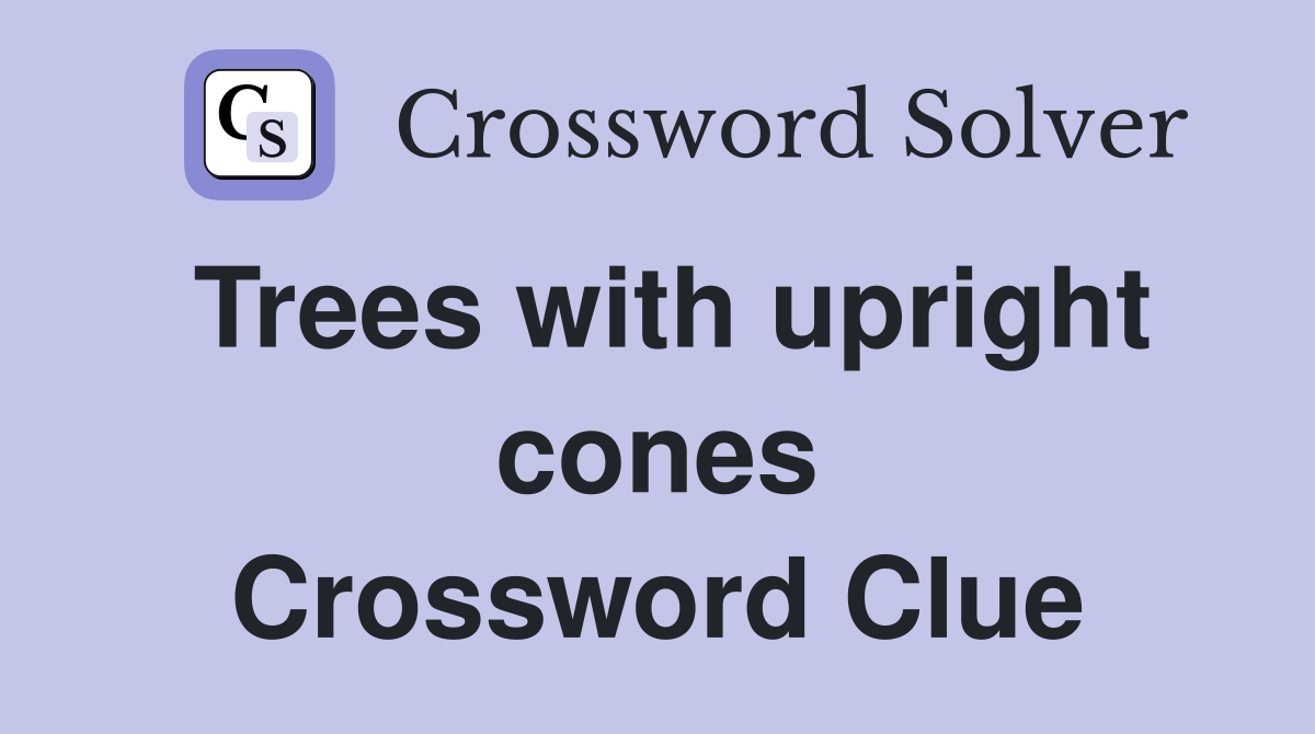 Trees with upright cones Crossword Clue