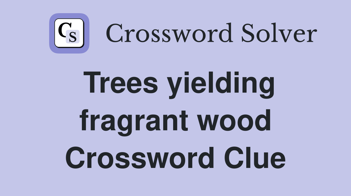 Trees yielding fragrant wood Crossword Clue