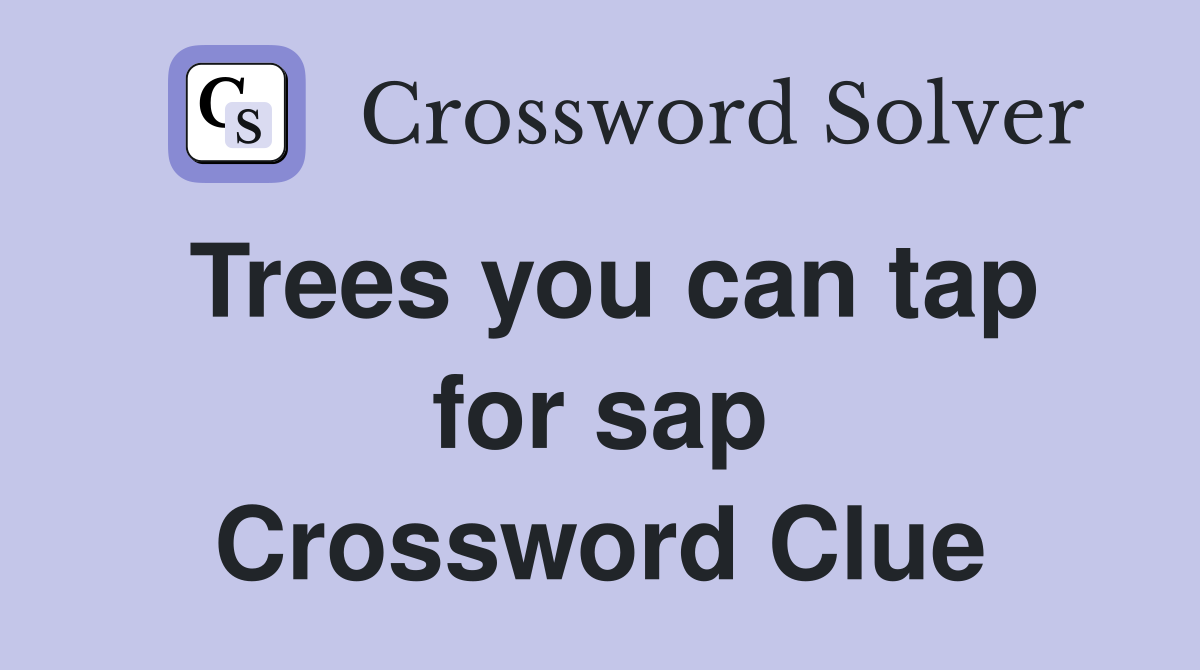 Trees you can tap for sap Crossword Clue