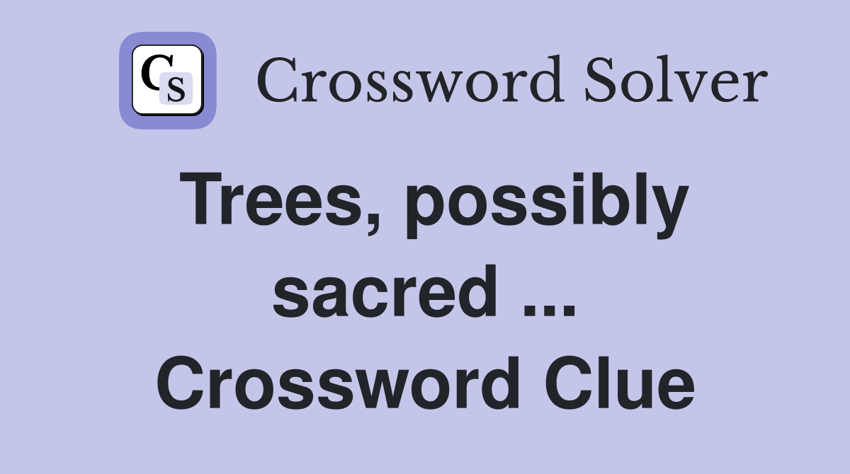 Trees, possibly sacred ... Crossword Clue