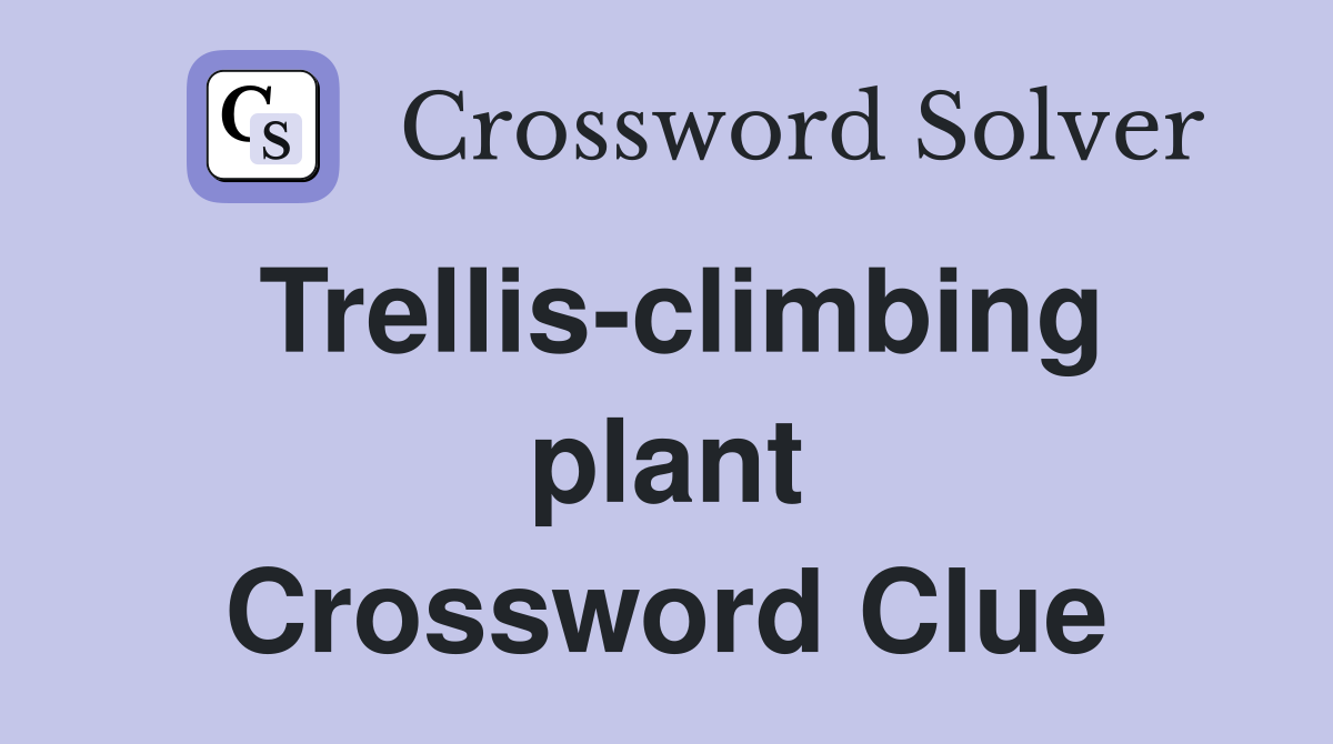 Trellis-climbing plant Crossword Clue