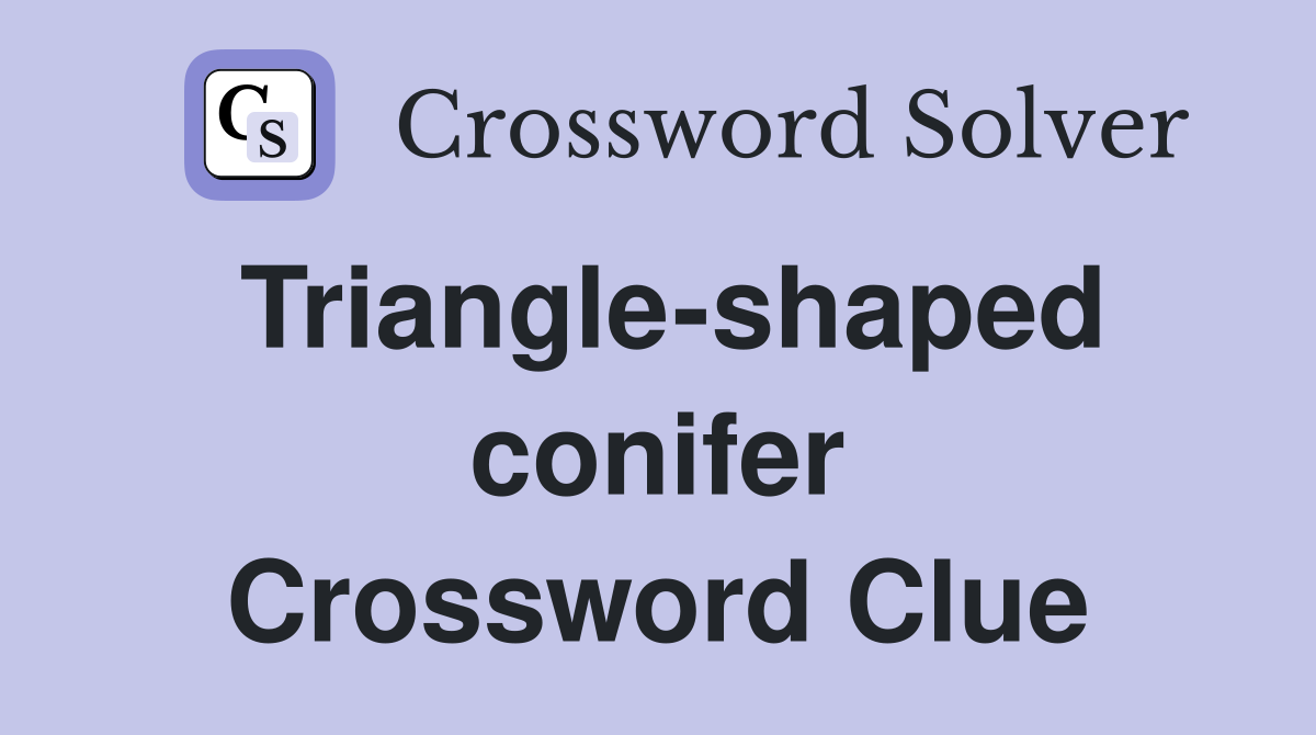Triangle-shaped conifer Crossword Clue