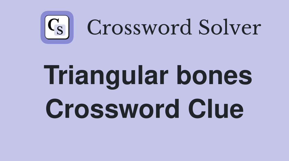 Triangular bones Crossword Clue