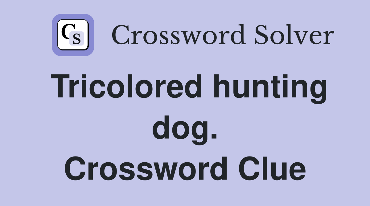 Tricolored hunting dog. Crossword Clue