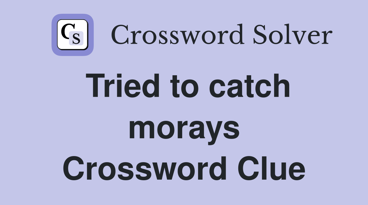 Tried to catch morays Crossword Clue