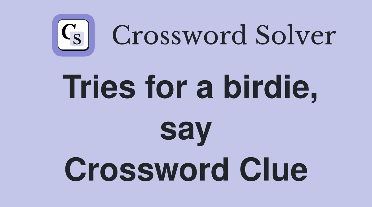 Tries for a birdie, say Crossword Clue