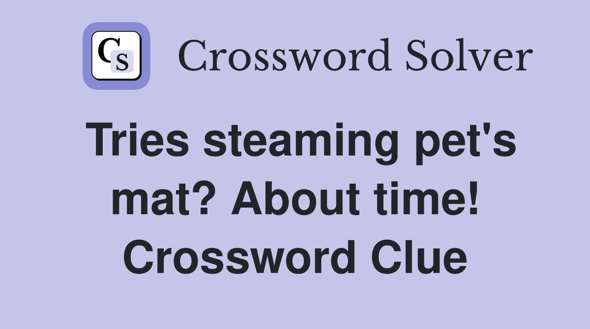 Tries steaming pet's mat? About time! Crossword Clue