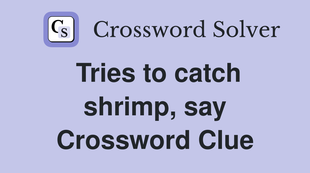 Tries to catch shrimp, say Crossword Clue