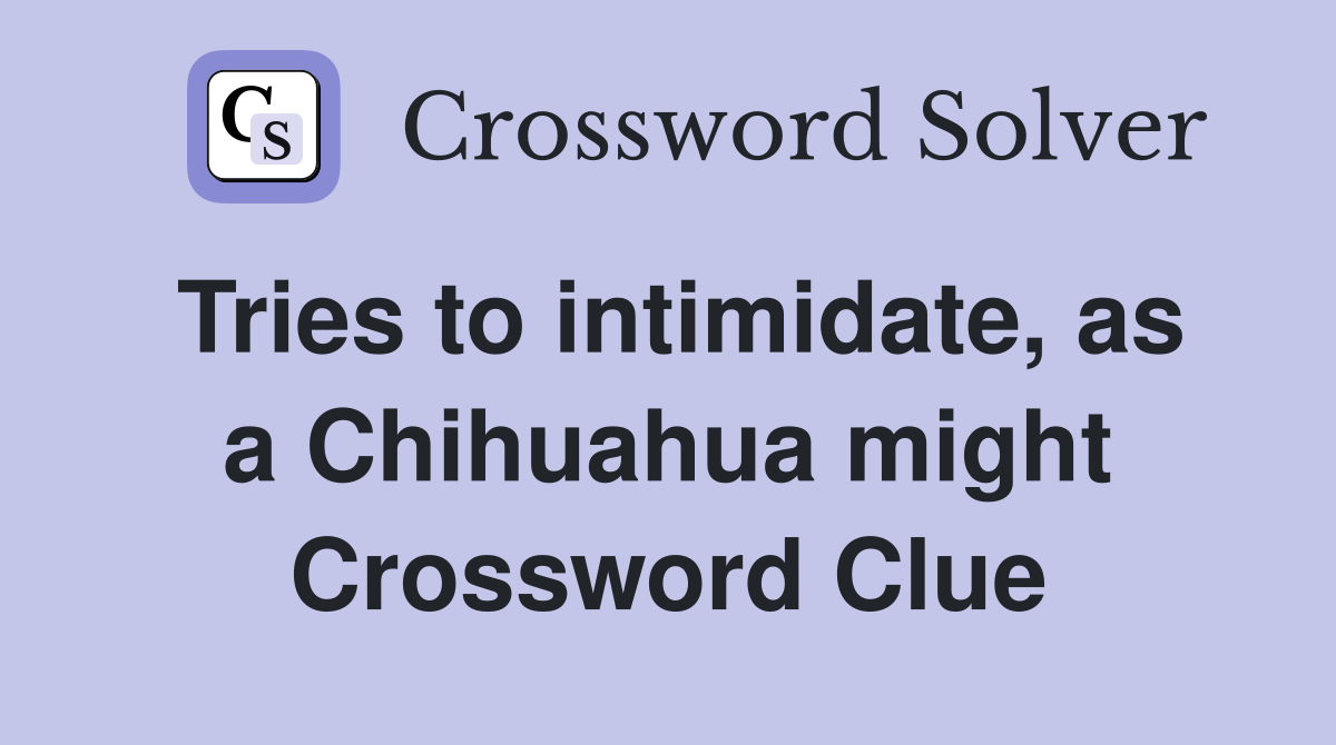 Tries to intimidate, as a Chihuahua might Crossword Clue