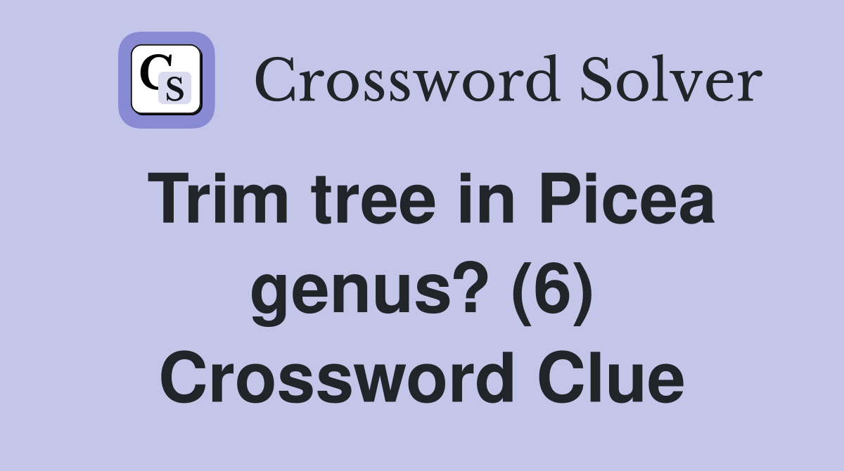 Trim tree in Picea genus? (6) Crossword Clue